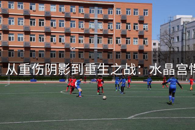 从重伤阴影到重生之战：水晶宫悍将杜库雷的季前救赎之路